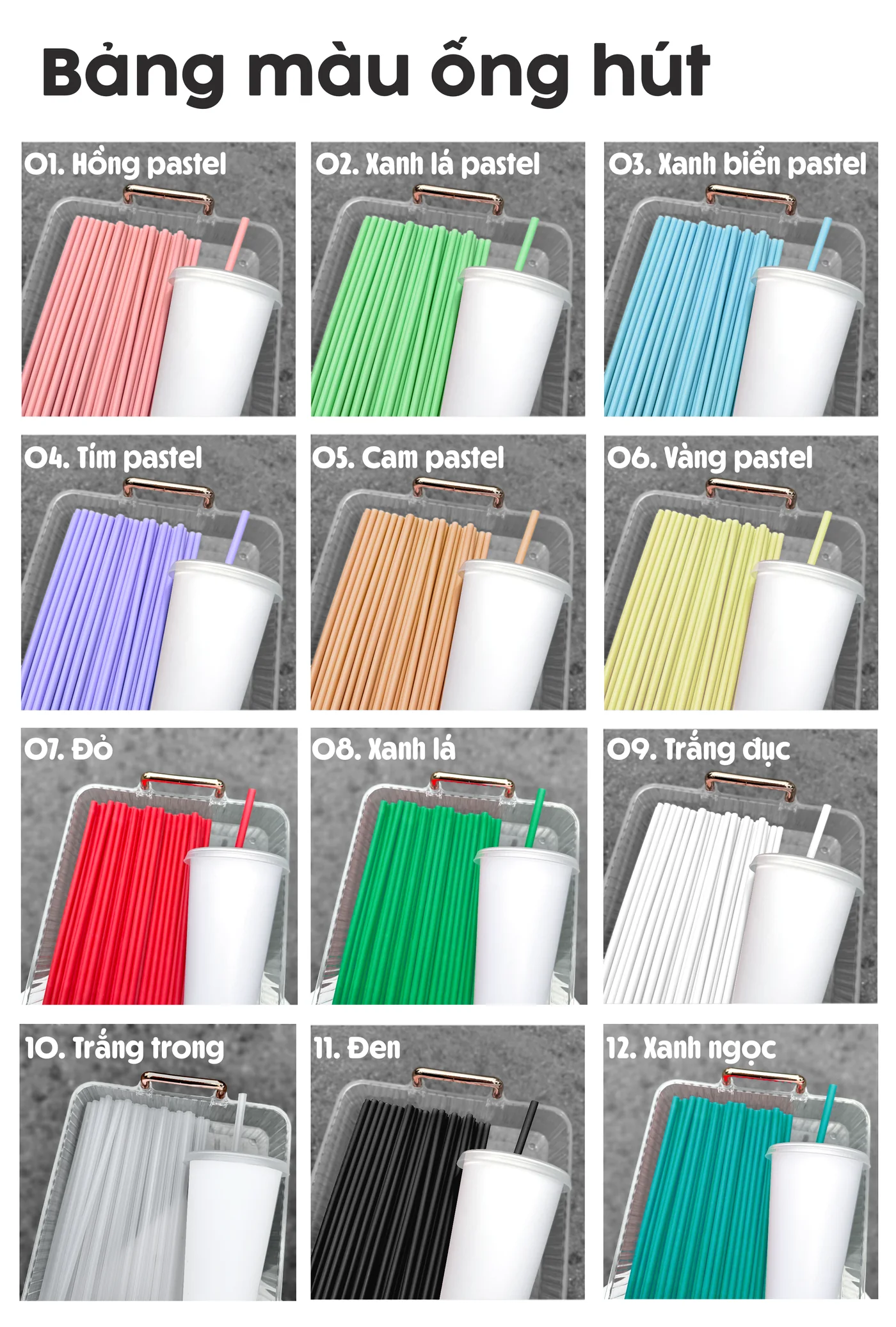 Bảng màu ống hút — 12 màu
